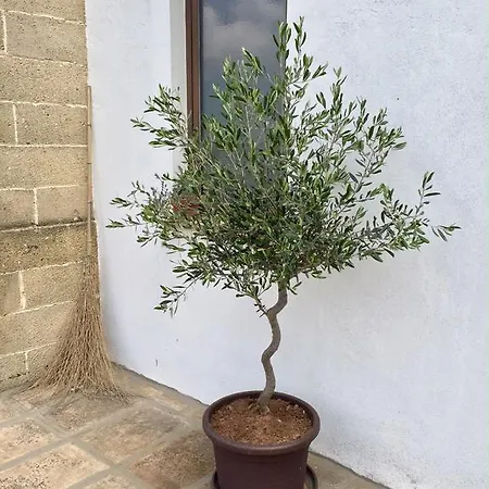 Gasthuis Casa Di Marco 4*