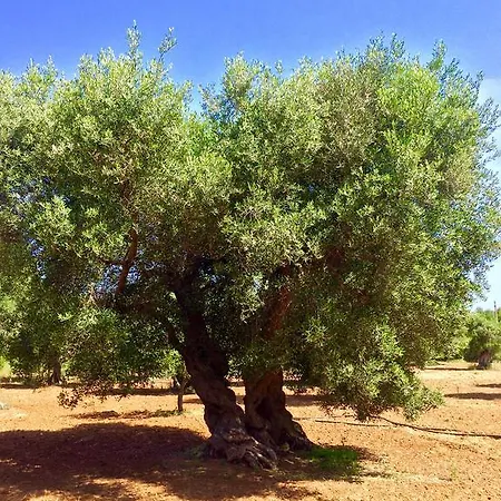 بيت ضيافة Casa Di Marco